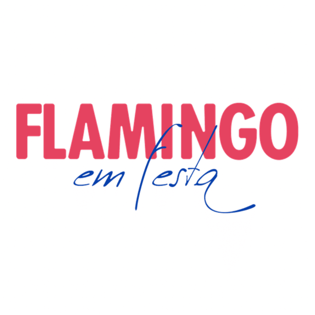 flamingo em festa