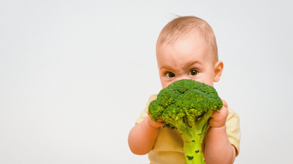 Como estabelecer a rotina alimentar no primeiro ano do bebê