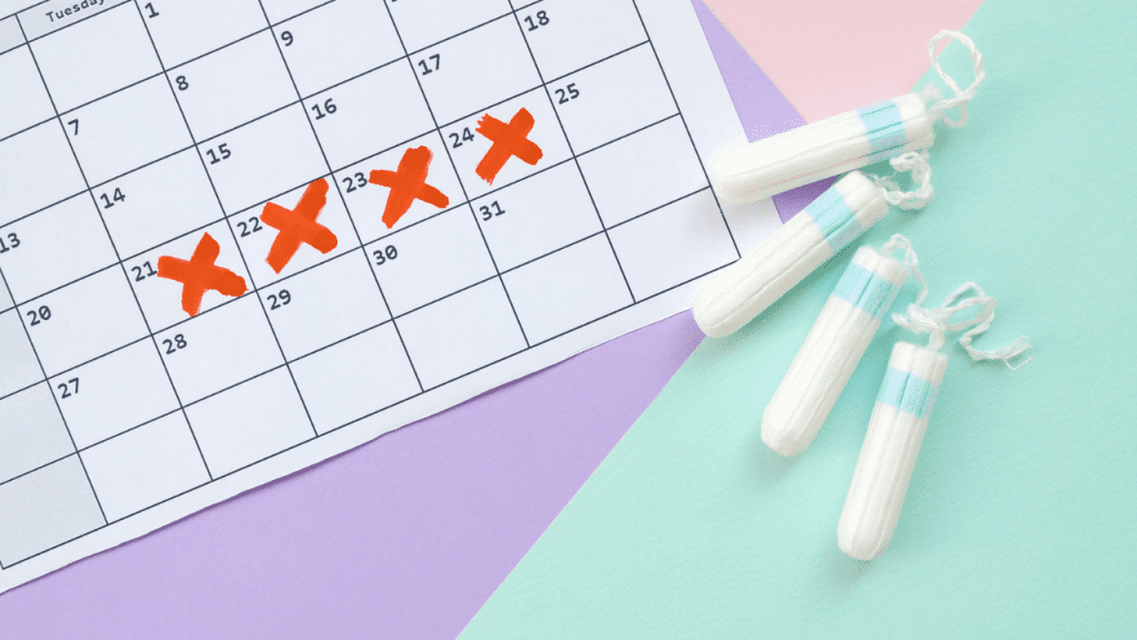 Ovulação e menstruação depois do parto: saiba tudo!