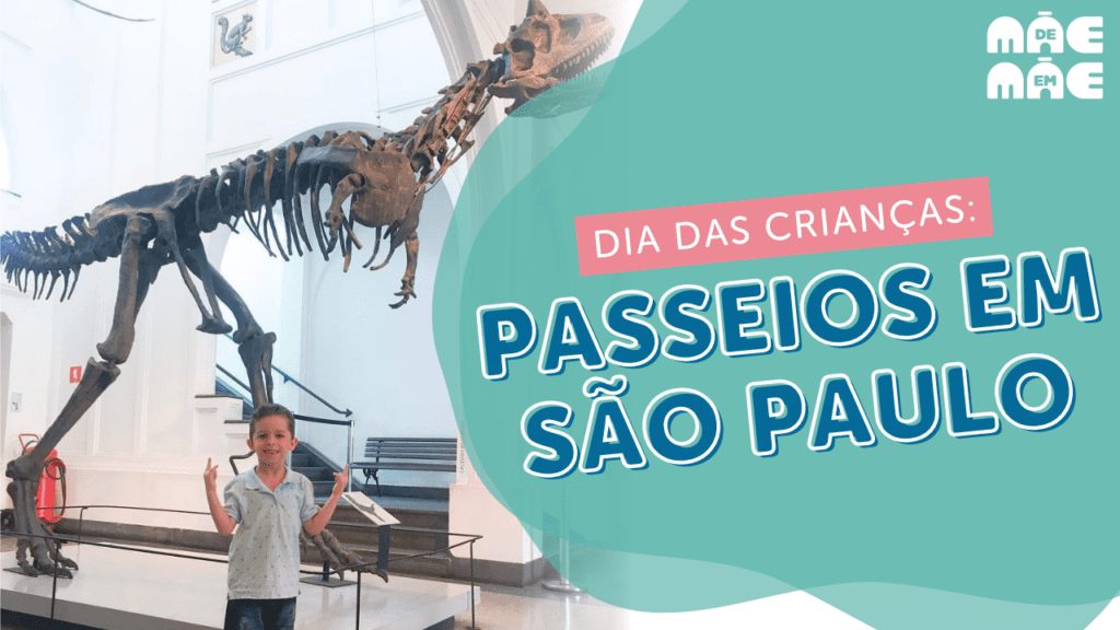 10 Passeios Com Crianças Em São Paulo Para Dia Das Crianças