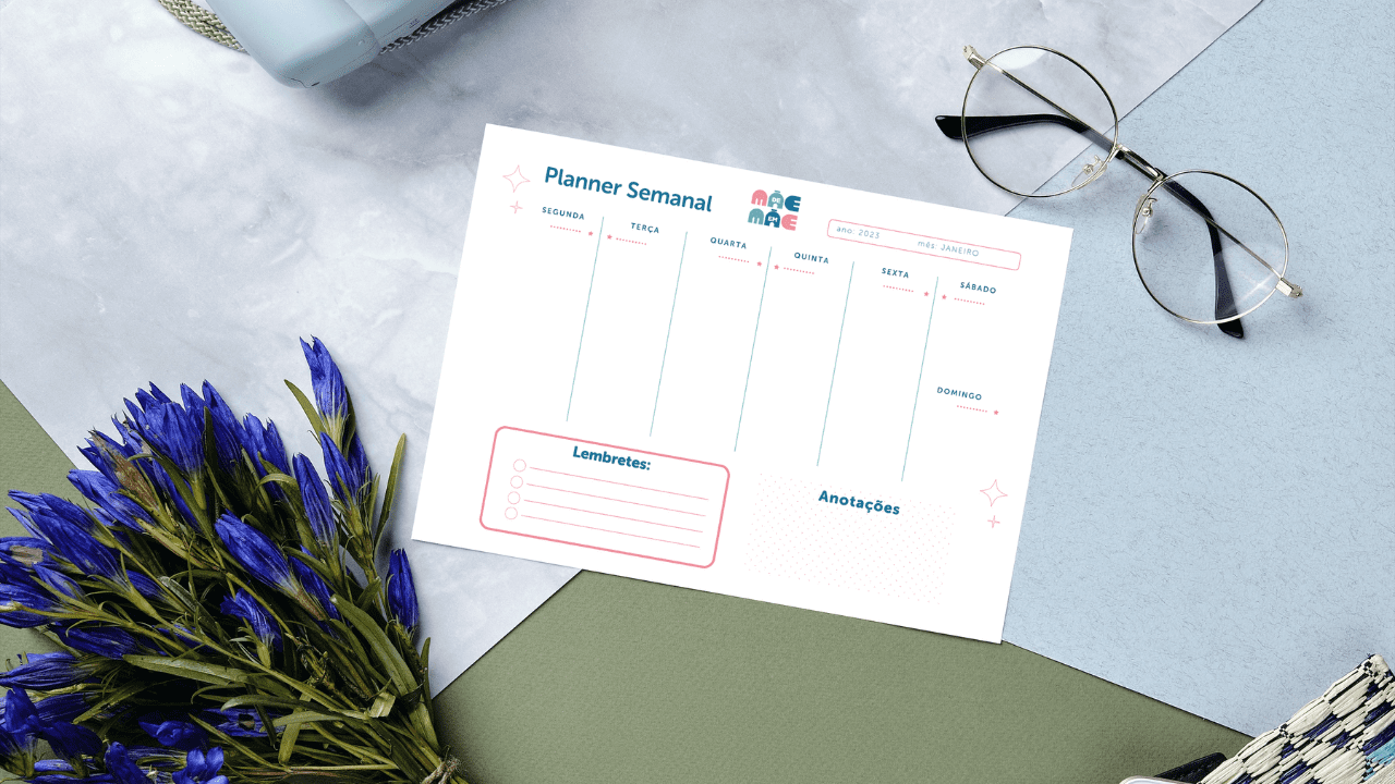 Leia mais sobre o artigo Planner 2023 pdf