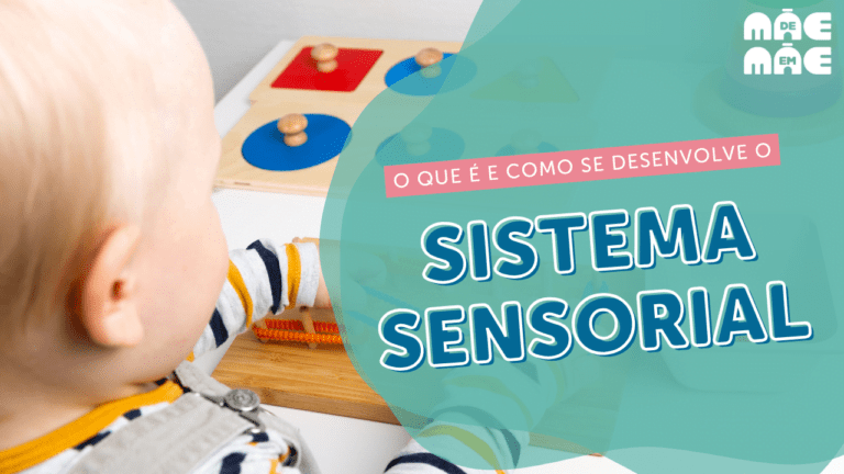 sistema sensorial