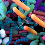 Crianças com alergia ao trigo: microbioma intestinal