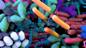 Leia mais sobre o artigo Crianças com alergia ao trigo: microbioma intestinal